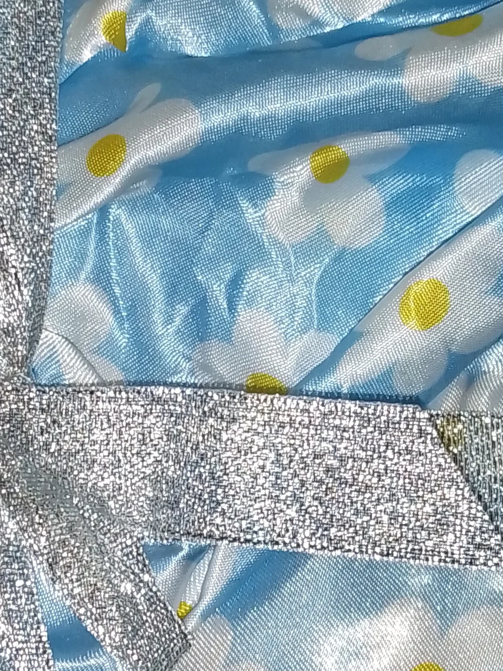 Blue Daisy Pet Bathrobe